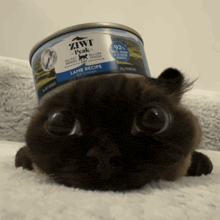 a cat laying on a blanket with a can of ziwi peak lamb recipe