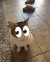 a cat with big googly eyes is sitting on a tile floor