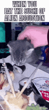 a cat is eating sushi with chopsticks on a table .