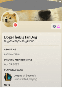 a screenshot of a doge the big tandog 's profile