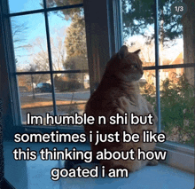 a cat looking out a window with a caption that says im humble n shi but