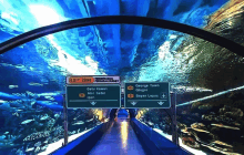 an aquarium with a sign that says exit 2888 on it