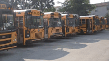 a row of school buses are parked in a lot