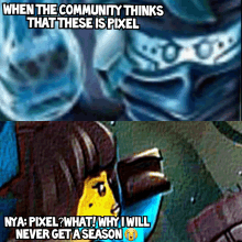 a meme that says when the community thinks that these is pixel and nya pixel what why i will never get a season