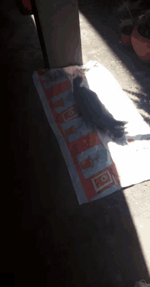 a cat is laying on a towel that says ' canadian flag ' on it