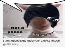 a picture of a cat with emo hair and a speech bubble that says not a phase