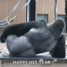 a gorilla is sitting on a wooden table with the words `` happy nee year '' written on it .