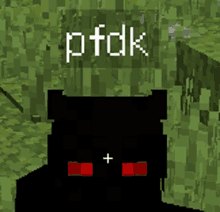 a screenshot of a video game with the name pfdk on it