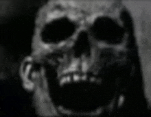 a black and white photo of a skull with its mouth open