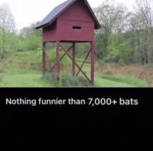 a red house on stilts in the middle of a field with the words nothing funnier than 7,000+ bats