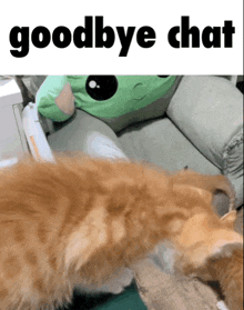 a cat laying on a couch next to a stuffed animal that says " goodbye chat "