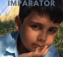 a young boy is sitting in the grass with his hand on his chin and looking at the camera .