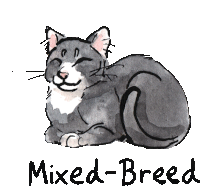 a watercolor drawing of a cat with the words mixed breed below it