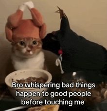 a cat wearing a turkey hat sits at a table with a bowl of cereal
