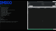 a screenshot of a program called dmgo
