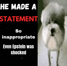 a poster that says he made a statement so inappropriate even epstein was shocked and a picture of a dog