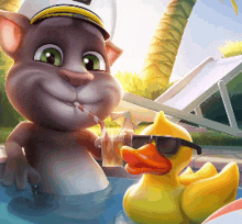 a cartoon cat and a rubber duck are swimming in a pool