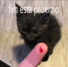 a black kitten looking at a bloody finger with the words " fin esta proximo " written above it