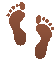 a pair of brown footprints with dots on them on a white background