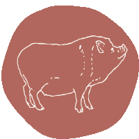 a drawing of a pig in a red circle on a white background