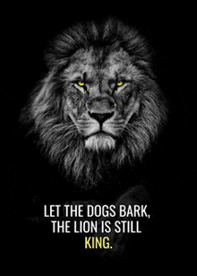 a black and white photo of a lion with yellow eyes and a quote .