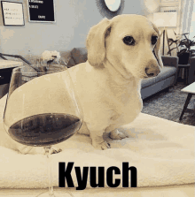 a dachshund sitting next to a glass of wine with the word kyuch written on the bottom