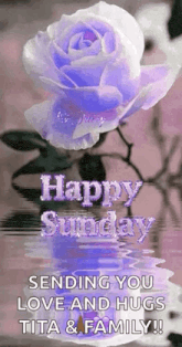 a purple rose is floating in the water with the words `` happy sunday sending you love and hugs tita & family ! ''