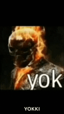 a picture of a ghost rider with the words yoki on the bottom .