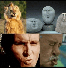 a collage of pictures shows a lion a man and a rock with faces on it