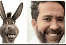 a man is smiling next to a donkey from shrek .