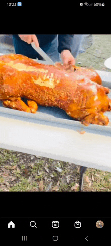 a person is cutting a whole roasted pig on a table .