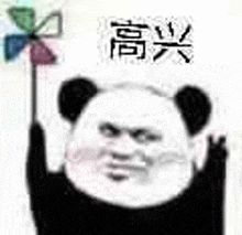 a panda bear is holding a pinwheel in his hand and making a funny face .