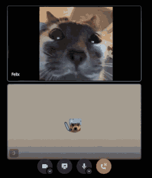 a screen shot of a video call with felix on the screen