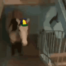 a horse wearing a colorful hat is walking down the stairs