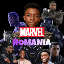 a poster for marvel romania shows a black panther