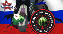 a logo for pmc w melon group with a watermelon in the middle