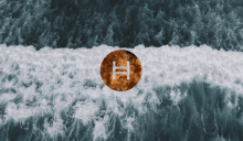 a coin with the letter h on it is floating in the water