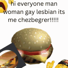 a picture of a hamburger that says hi everyone man woman gay lesbian its me chezbegrer !!!