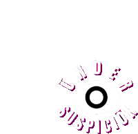 a logo for a company called suspicion with an eye in the center