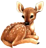 a baby deer is laying down on its back on a white background