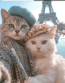 two cats are posing for a picture with the eiffel tower behind them