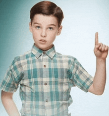 a young boy wearing a plaid shirt is pointing up