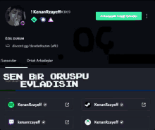 a screenshot of a person 's profile on a discord server