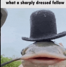 a fish wearing a top hat with its mouth open is a sharply dressed fellow .