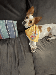 a small brown and white dog wearing a yellow bandana that says happy easter