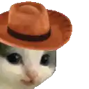 a close up of a cat wearing a cowboy hat on a white background .