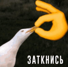 a white bird is being fed by a yellow hand that says " zatknisc " on the bottom