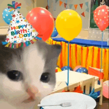 a cat wearing a happy birthday hat looks at a plate with a fork on it