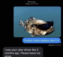 a screenshot of a text message with a picture of a fish wearing sunglasses .