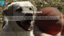 a white dog is standing next to a man with latin market analysis written on the top